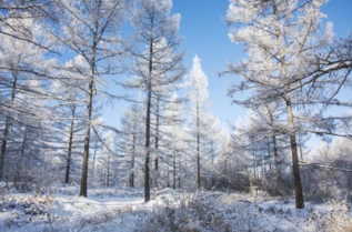 世界最好玩的地方有哪些 世界最好玩的国家 世界最好玩的地方有哪些 世界最好玩的国家