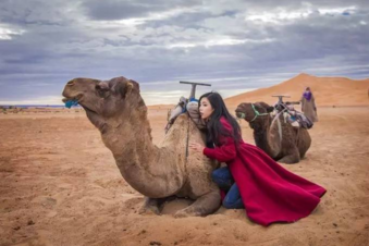 世界最好玩的地方有哪些 世界最好玩的国家 世界最好玩的地方有哪些 世界最好玩的国家