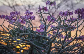 世界最好玩的地方有哪些 世界最好玩的国家 世界最好玩的地方有哪些 世界最好玩的国家