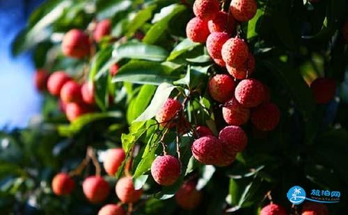 2018广州自由行旅游攻略  广州自助游攻略 2018广州自由行旅游攻略  广州自助游攻略