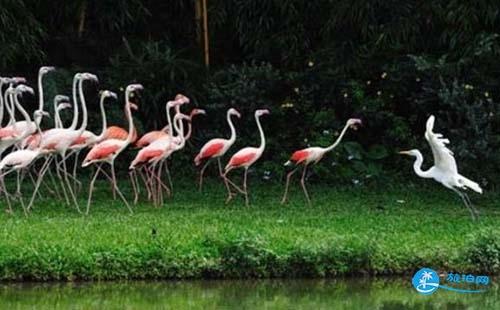 2018广州自由行旅游攻略  广州自助游攻略 2018广州自由行旅游攻略  广州自助游攻略