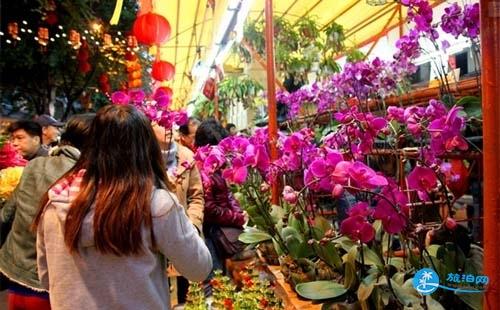 2018广州自由行旅游攻略  广州自助游攻略 2018广州自由行旅游攻略  广州自助游攻略