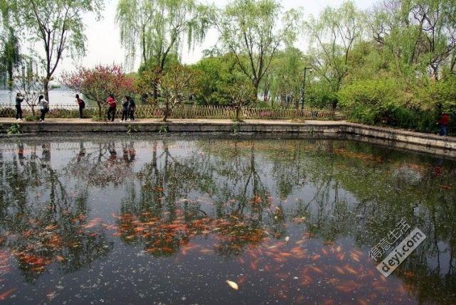 杭州自由行攻略2017 杭州自由行攻略2017