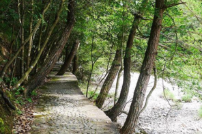 安徽绩溪有哪些好玩的景点 安徽绩溪旅游攻略 安徽绩溪有哪些好玩的景点 安徽绩溪旅游攻略