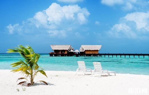 在马尔代夫旅游潜水需要注意什么 在马尔代夫旅游潜水需要注意什么