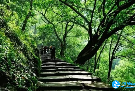 2018重庆山城步道有哪些(路线+地址) 2018重庆山城步道有哪些(路线+地址)