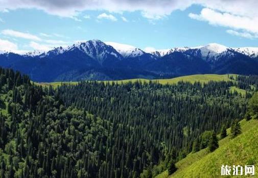 伊犁7月份自驾游最佳路线和攻略 伊犁7月份自驾游最佳路线和攻略