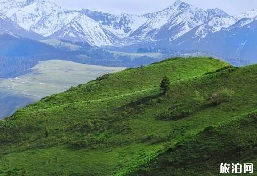 伊犁7月份自驾游最佳路线和攻略 伊犁7月份自驾游最佳路线和攻略