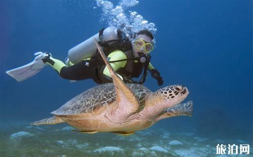 潜水证怎么考 ow潜水考证攻略2018 潜水装备有哪些 潜水证怎么考 ow潜水考证攻略2018 潜水装备有哪些
