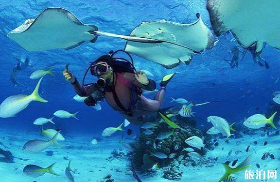 潜水证去哪里考比较好 7月适合去哪里潜水 潜水证去哪里考比较好 7月适合去哪里潜水