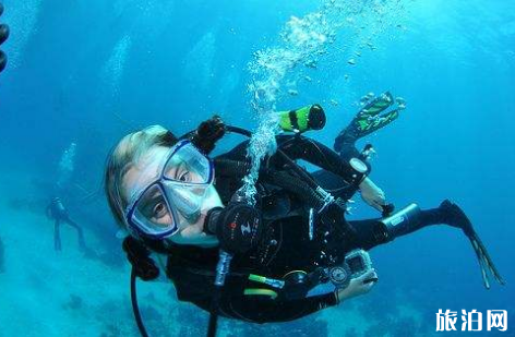 自由潜和水肺潜的区别 自由潜和水肺潜哪个好 自由潜和水肺潜的区别 自由潜和水肺潜哪个好