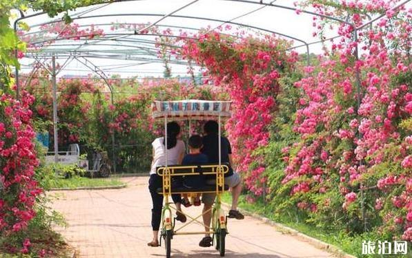 日照自驾三日游攻略 日照自驾三日游攻略