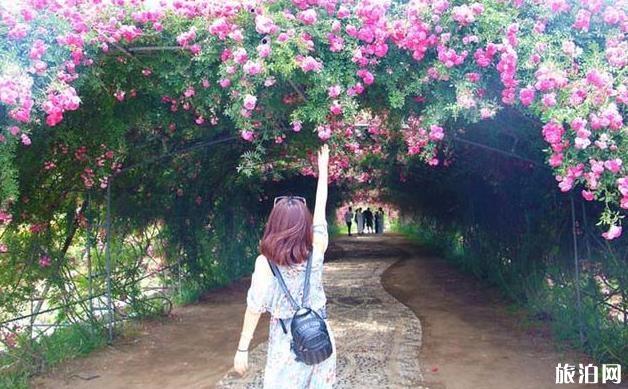 日照自驾三日游攻略 日照自驾三日游攻略