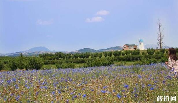 日照自驾三日游攻略 日照自驾三日游攻略