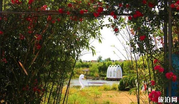 日照自驾三日游攻略 日照自驾三日游攻略