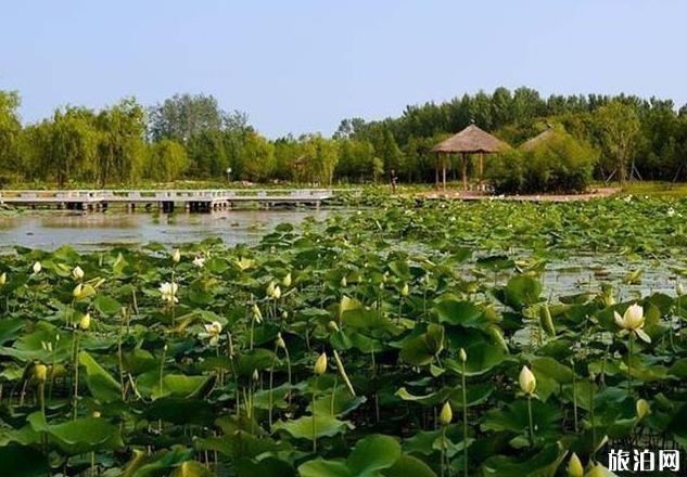 日照自驾三日游攻略 日照自驾三日游攻略