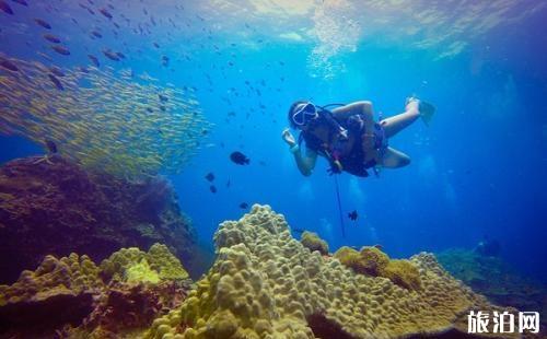 普吉岛有哪些岛屿可以潜水 普吉岛哪些岛屿最值得去 普吉岛有哪些岛屿可以潜水 普吉岛哪些岛屿最值得去