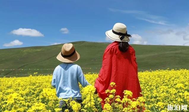 青海六日游攻略和路线 青海六日游攻略和路线