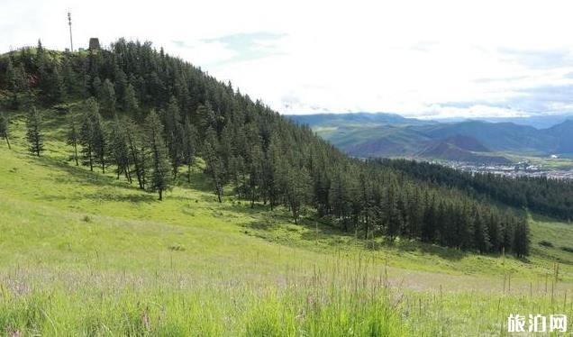 青海六日游攻略和路线 青海六日游攻略和路线