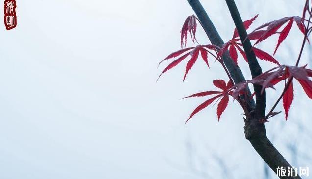 武汉周边自驾游三日游攻略 武汉周边自驾游三日游攻略