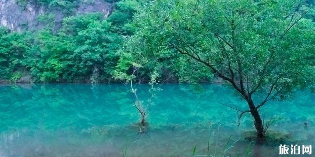 武汉周边自驾游三日游攻略 武汉周边自驾游三日游攻略