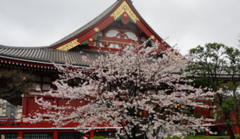 学生党日本自由行怎么玩省钱 学生党日本自由行怎么玩省钱