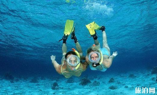 浮潜时被水母蛰了怎么办 浮潜时被水母蛰了怎么办