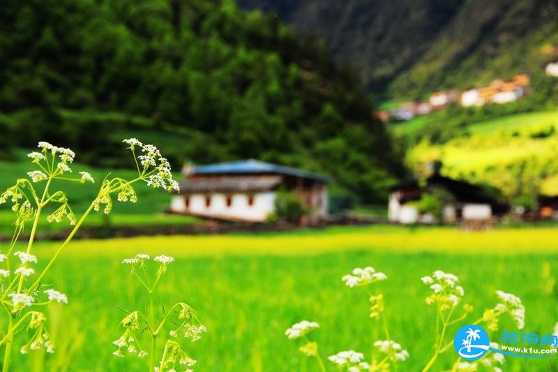 雨崩徒步路线 梅里雪山雨崩徒步攻略 雨崩徒步路线 梅里雪山雨崩徒步攻略