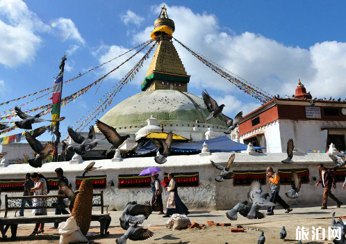 尼泊尔徒步保险需要买吗 尼泊尔徒步保险在哪里买 尼泊尔徒步保险需要买吗 尼泊尔徒步保险在哪里买