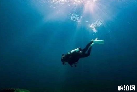 潜水运动安全吗 潜水新手容易犯的错误有哪些 潜水运动安全吗 潜水新手容易犯的错误有哪些