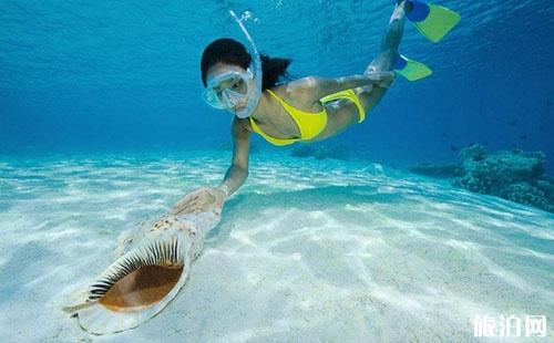 浮潜时被水母蛰了怎么办 浮潜时被水母蛰了怎么办