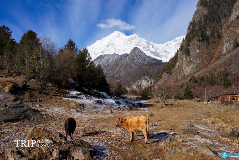 去雨崩徒步要注意什么 雨崩徒步注意事项 去雨崩徒步要注意什么 雨崩徒步注意事项