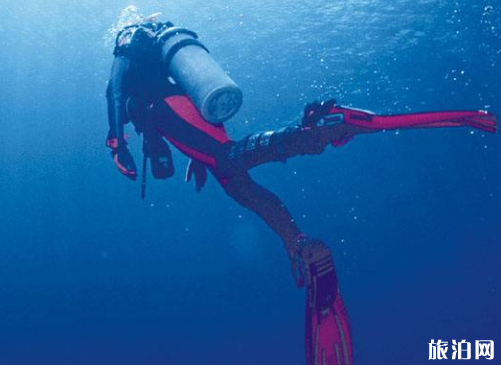 潜水运动安全吗 潜水新手容易犯的错误有哪些 潜水运动安全吗 潜水新手容易犯的错误有哪些