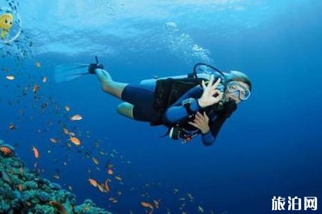 潜水运动安全吗 潜水新手容易犯的错误有哪些 潜水运动安全吗 潜水新手容易犯的错误有哪些