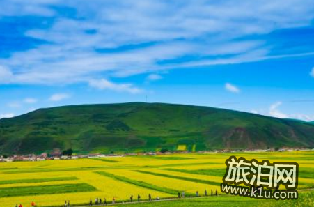 去青海旅行住哪 青海交通攻略2018 去青海旅行住哪 青海交通攻略2018