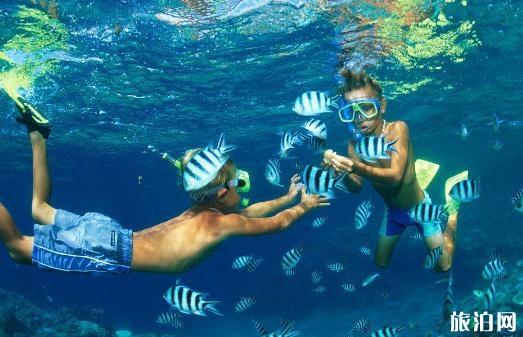 不会游泳可以玩浮潜危险吗 不会游泳玩浮潜需要注意什么 不会游泳可以玩浮潜危险吗 不会游泳玩浮潜需要注意什么