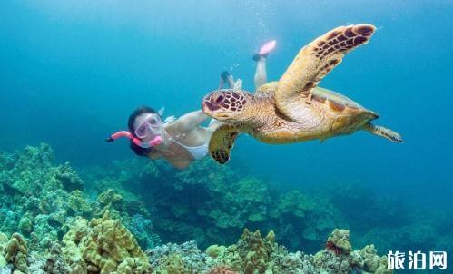 不会游泳可以玩浮潜危险吗 不会游泳玩浮潜需要注意什么 不会游泳可以玩浮潜危险吗 不会游泳玩浮潜需要注意什么