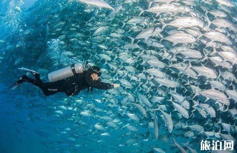 潜水的时候会遇到哪些问题 潜水的时候会遇到哪些问题