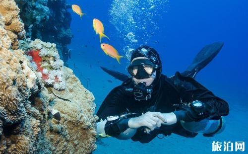 潜水的时候会遇到哪些问题 潜水的时候会遇到哪些问题