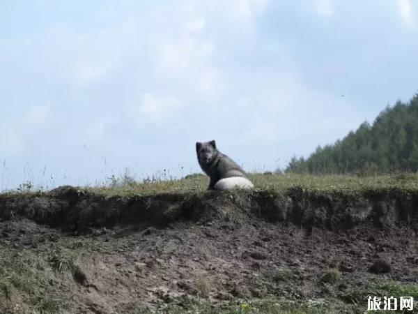 露营需要注意什么 露营需要注意什么