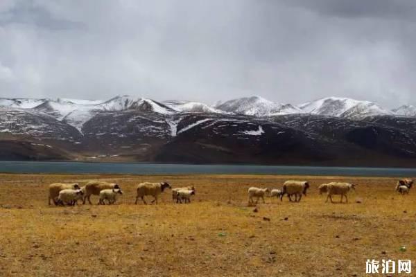 露营需要注意什么 露营需要注意什么