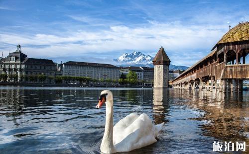 瑞士有什么旅游景点 瑞士有什么旅游景点