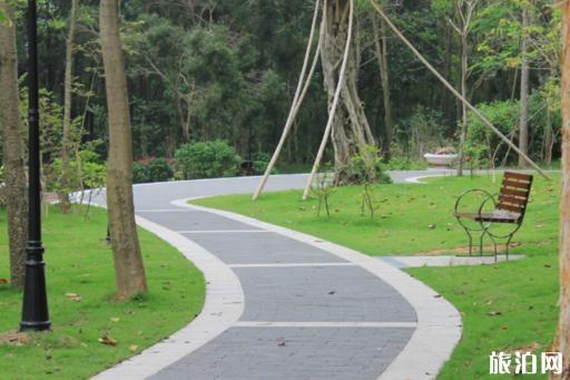 去深圳旅游住在哪里会比较方便 去深圳旅游住在哪里会比较方便