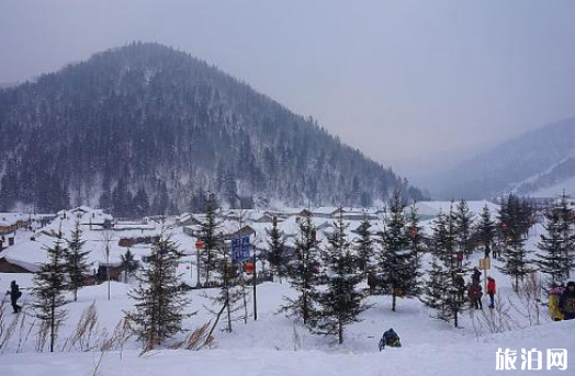 2018年哈尔滨国庆下雪吗 哈尔滨什么时候开始下雪 2018年哈尔滨国庆下雪吗 哈尔滨什么时候开始下雪