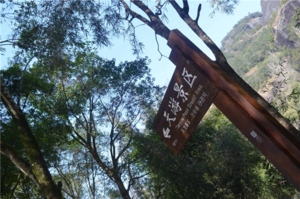 武夷山一日游最佳路线 武夷山自驾游攻略 武夷山一日游最佳路线 武夷山自驾游攻略