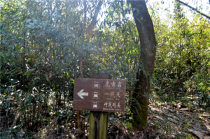 武夷山一日游最佳路线 武夷山自驾游攻略 武夷山一日游最佳路线 武夷山自驾游攻略