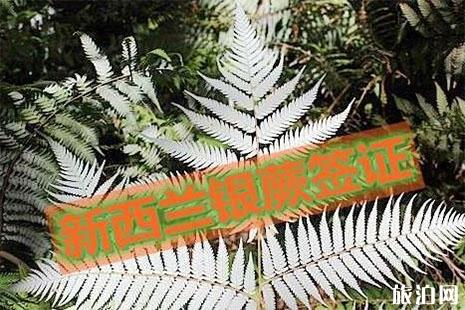 2018新西兰银蕨签证11月29号开放 新西兰银蕨签证好不好 2018新西兰银蕨签证11月29号开放 新西兰银蕨签证好不好