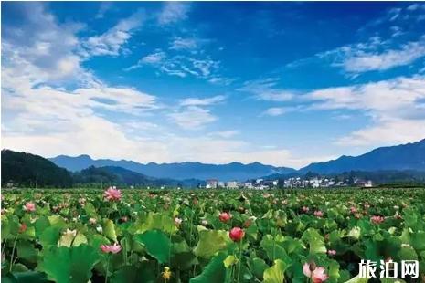 龙游旅游景点有哪些+门票