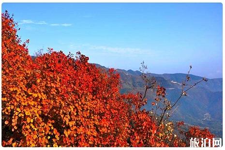 北京看红叶香山公园游玩攻略 北京看红叶香山公园游玩攻略