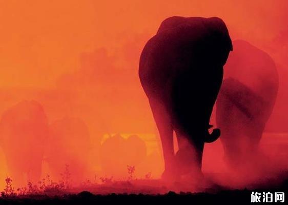 相机镜头知识 相机镜头知识